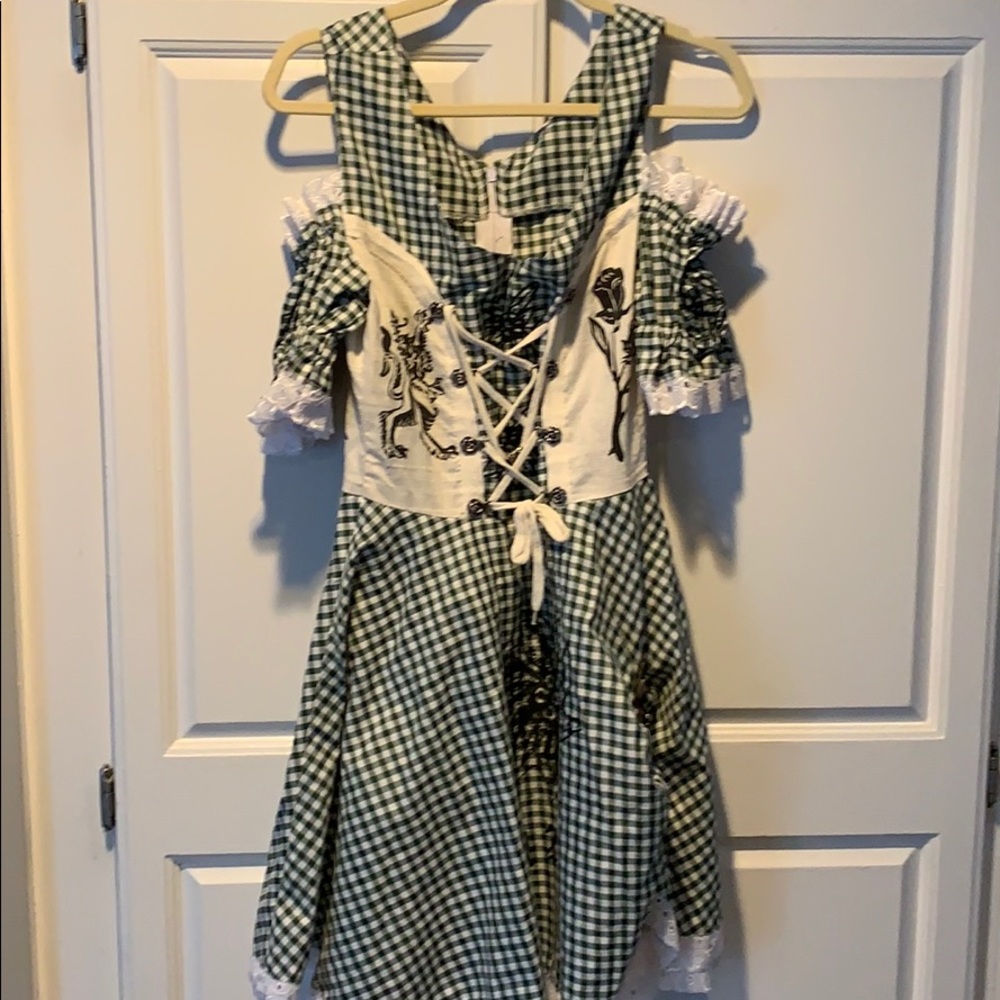 Oktoberfest dirndel (bought in Germany)